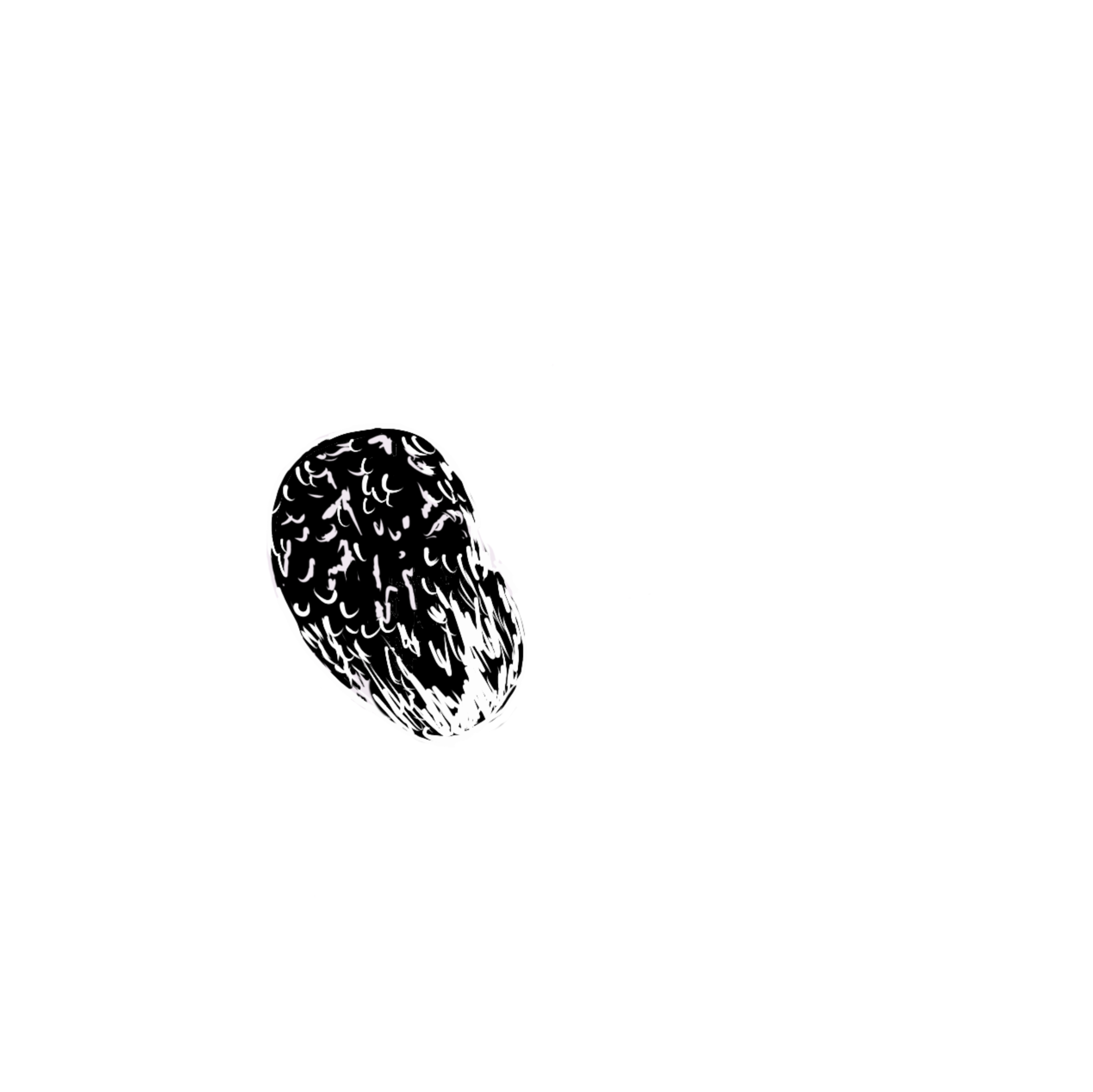Breast